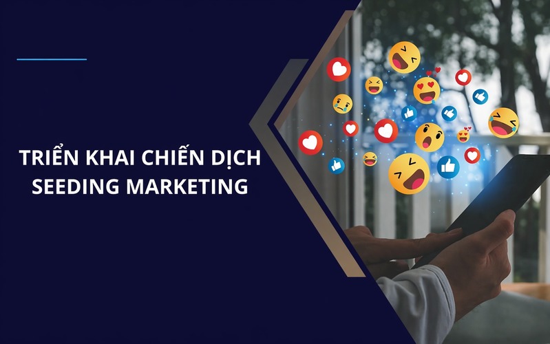 Quy trình triển khai chiến dịch seeding hiệu quả với 5 bước
