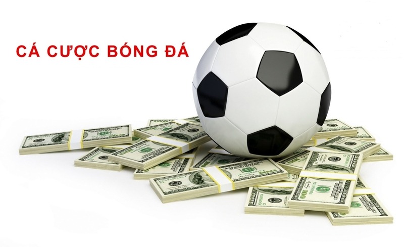 Người mới nên tìm hiểu kèo bóng đá, đọc điều khoản và đặt giới hạn ngân sách trước khi tham gia. 