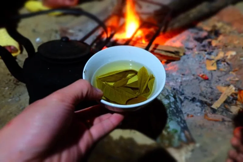 Bát nước chè xanh tươi sóng sánh — thức uống thanh mát mang đậm nét văn hóa truyền thống và giàu dưỡng chất của người Việt.